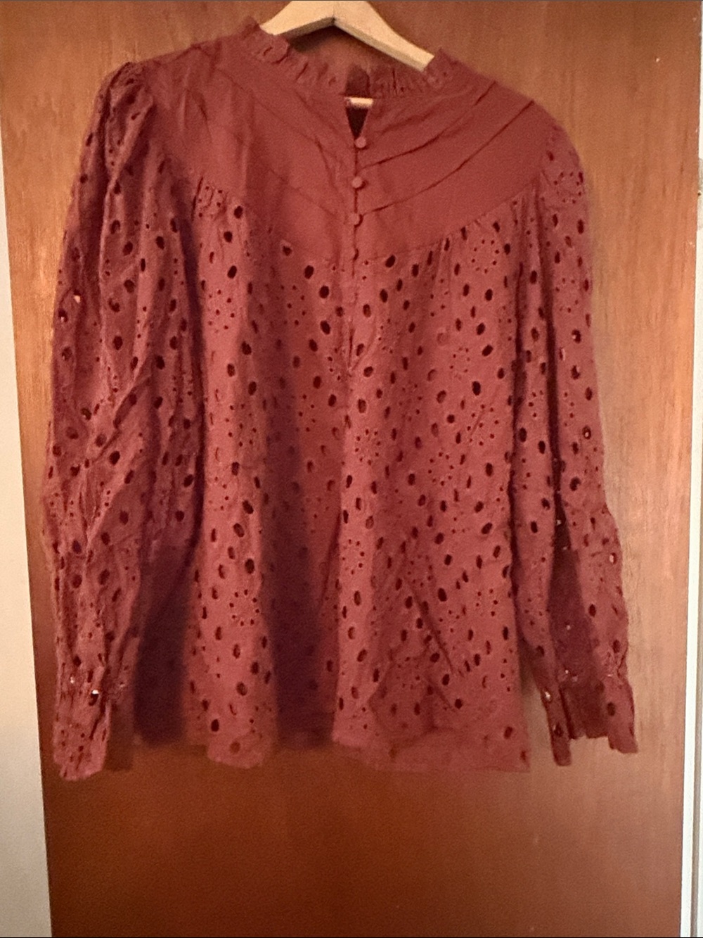 Eyelet Button-Up Blouse in Deep Mauve